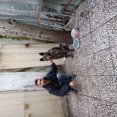 Player: arman.m2