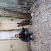 arman.m2