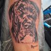 rocco