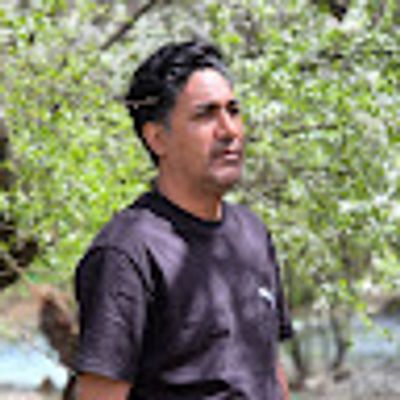 Player: omidtei