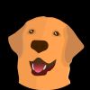 Player: sayeeeeeeeee