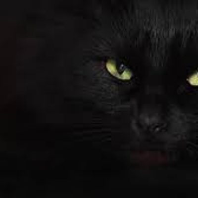Player: blackcat