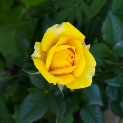 Player: jurgita_jurga