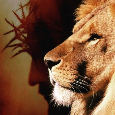 Player: briannotlion