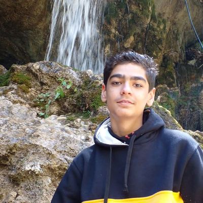 Player: amiralibostanian