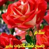 Player: mahpoor
