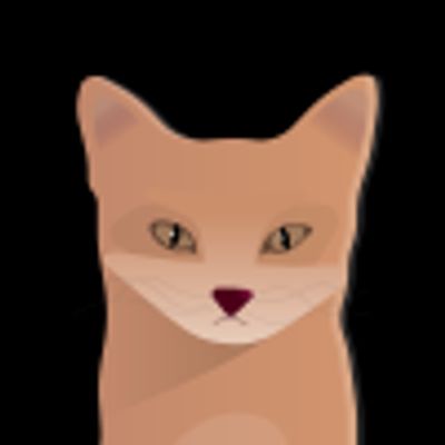 Player: nikzad