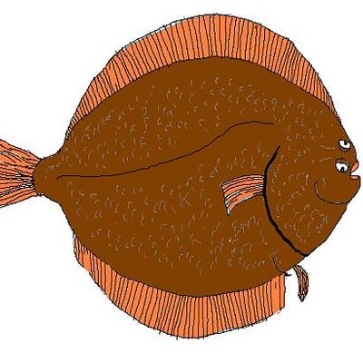 Player: flatfish