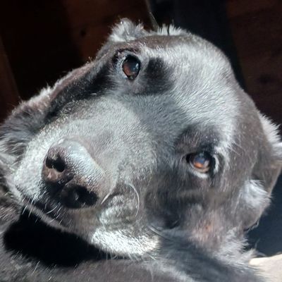 Player: fairbanksfilly