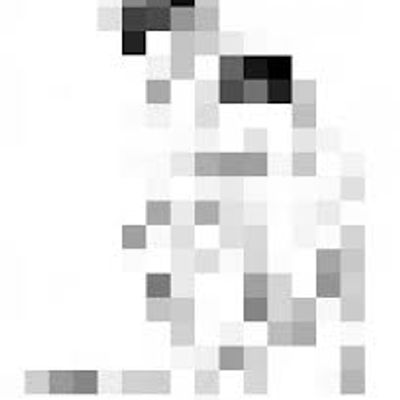 Player: memmos