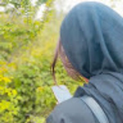 Player: fatemeh_faraji