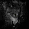 Player: mohammadagh819