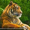 jamil.rahimi