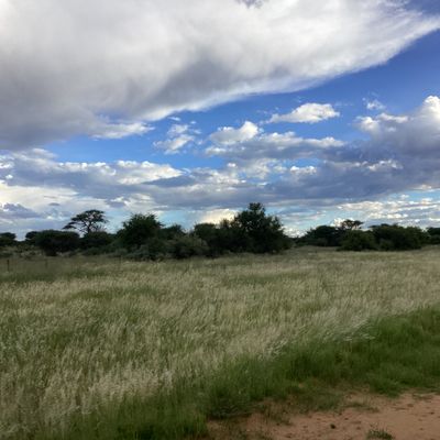 Player: globetrotter