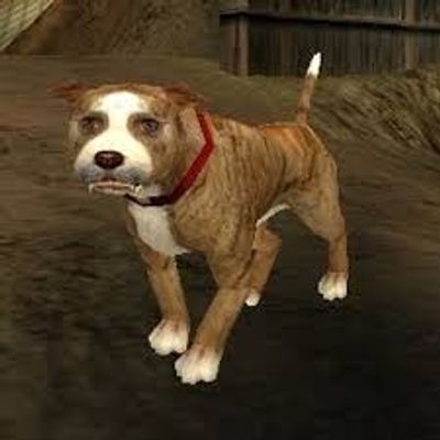 Player: bertie.x