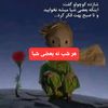 Player: sheida1