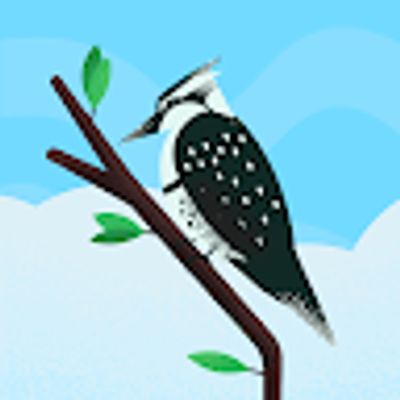 Player: aussiemum2210