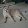 mostafam