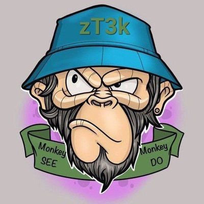 Player: zt3k