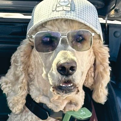 Player: jamestarnava