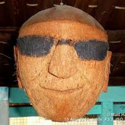 Player: doctor_coconut