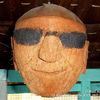 doctor_coconut