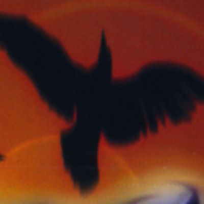 Player: radioactivecrow