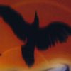 Player: radioactivecrow