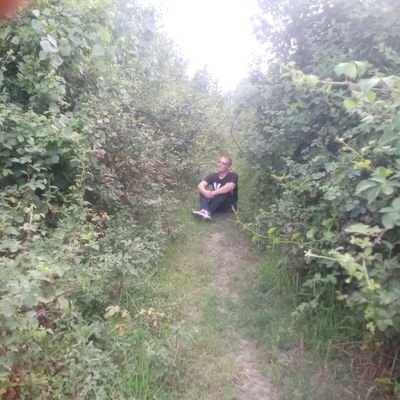Player: mortezagherghy