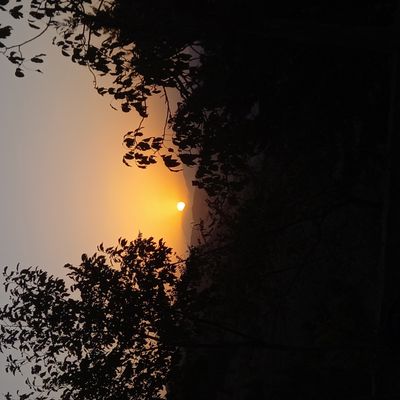 Player: mehrdadeslami93