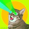 Player: nerdycat