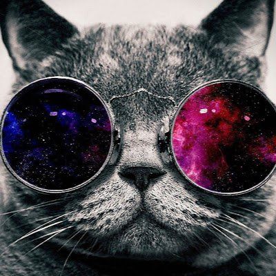 Player: doug_perkins_