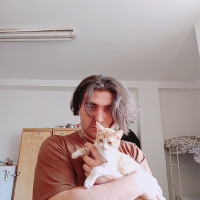 Player: vlimohvmmvd