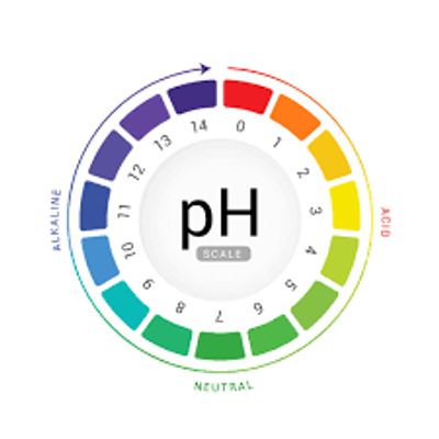 Player: physikler
