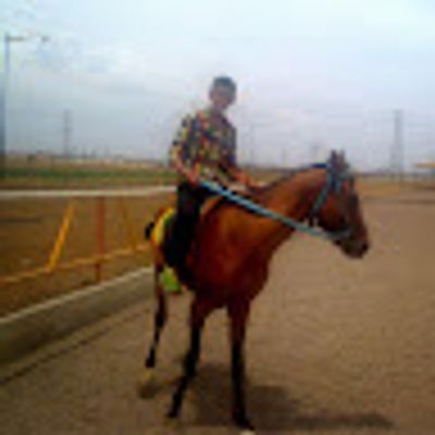 Player: amirkashi