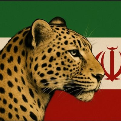 Player: mehrdadeslami93