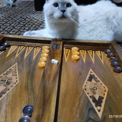 Player: f14