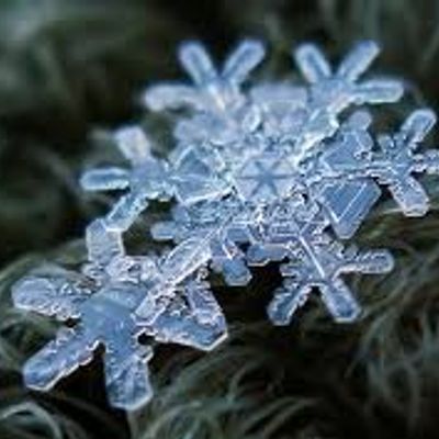 Player: snowflake