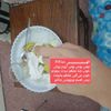 Player: sheida1