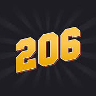 Player: 206