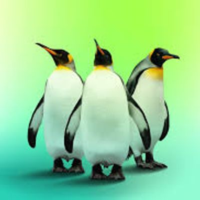 Player: linux