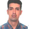 Player: hamedkashki