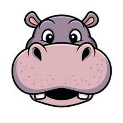 Player: hippoboy