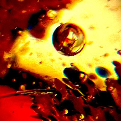 Player: velmitperiwinkles