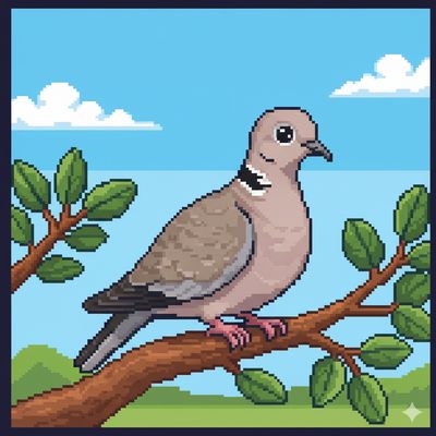 Player: teklikumru