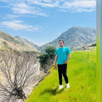 Player: parhammalamir