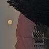 Player: metii