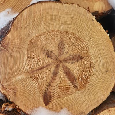 Player: murphyman123