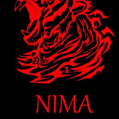 Player: nimafeizasa