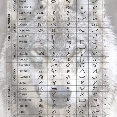 Player: bilirkisi